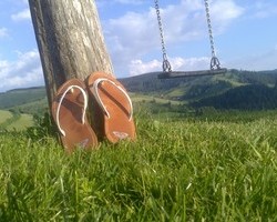 Rotenhof (M�nstertal)