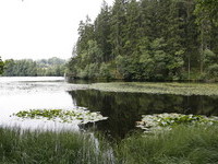 Schlüchtsee (Bildnachweis: Tourist-Information Grafenhausen)