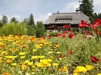 Hüsli (Bildnachweis: Tourist-Information Grafenhausen)