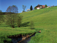  (Bildnachweis: Tourismus GmbH & Co.KG ZweiTälerLand )