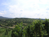 (Bildnachweis: Mit freundlicher Genehmigung der Stadt Müllheim) (Bildnachweis: Mit freundlicher Genehmigung der Stadt Müllheim)